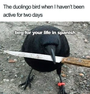 Image uploaded by Vlad