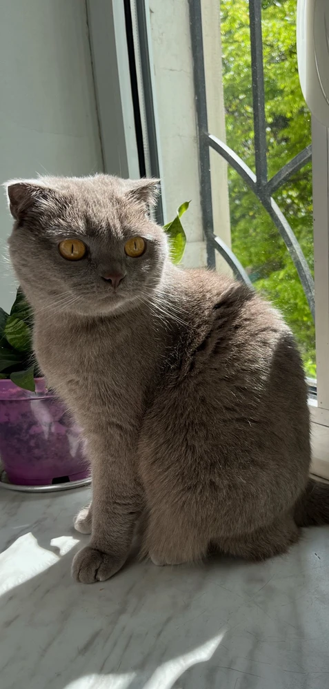 Image uploaded by Alina