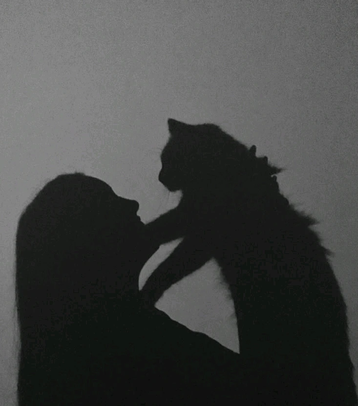 GIF uploaded by ikhfA