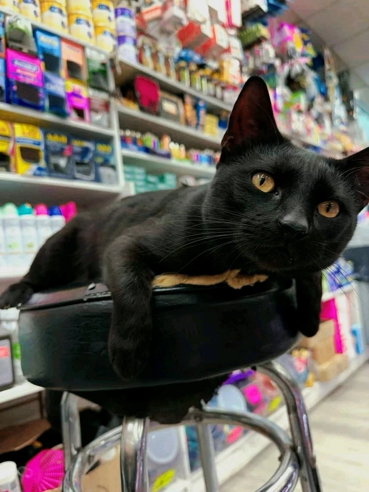 GIF uploaded by Ratour