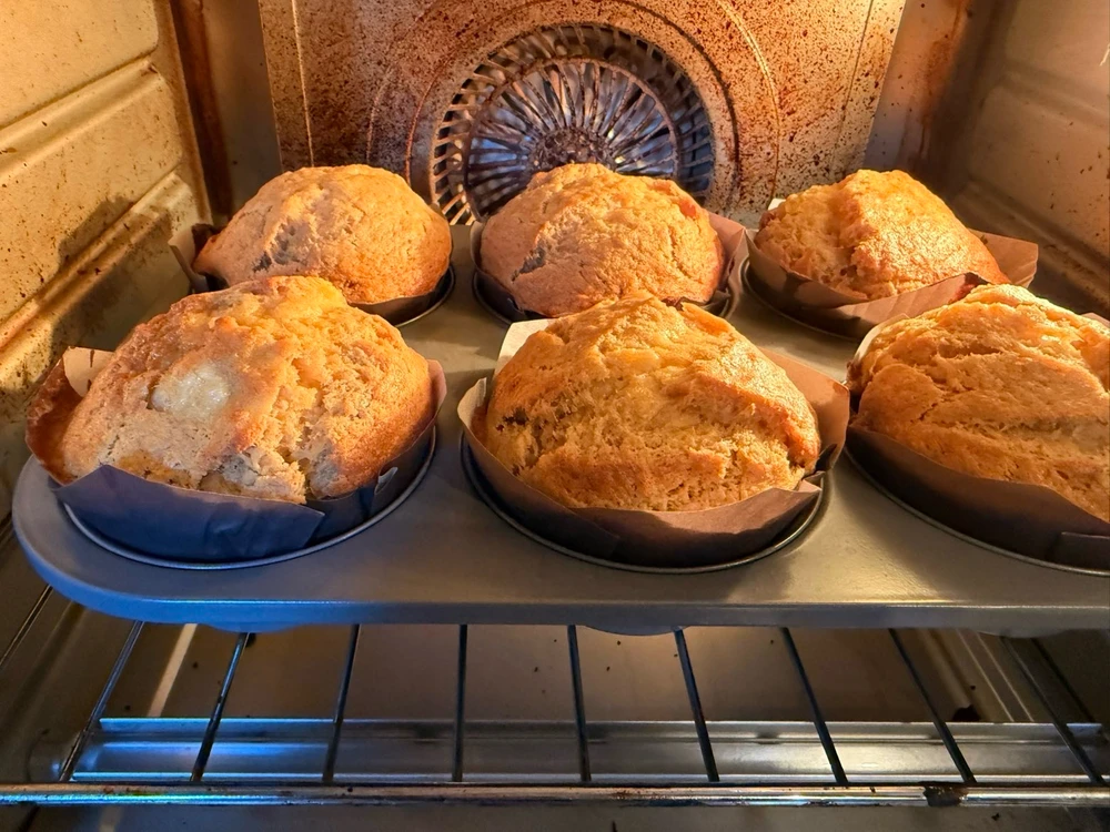 Image uploaded by Kim