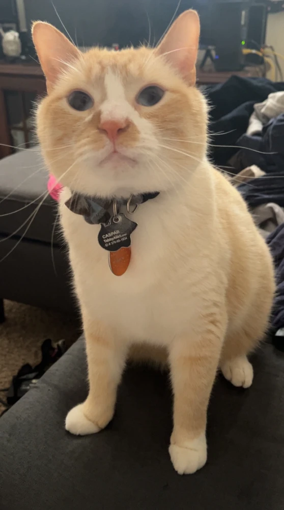 GIF uploaded by Brianna