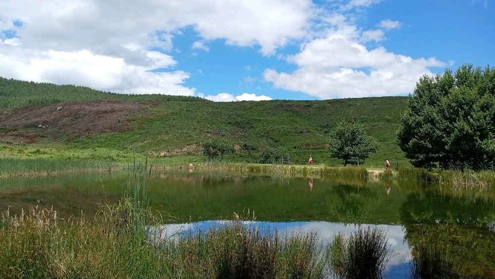 GIF uploaded by Joshua