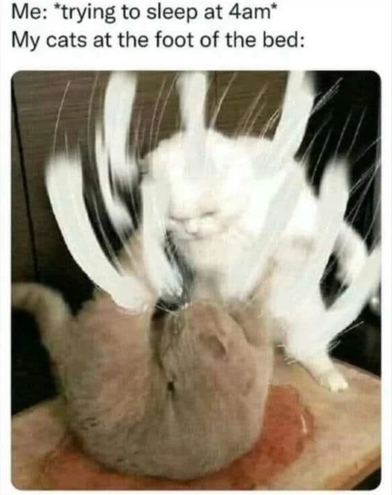 GIF uploaded by bellissima