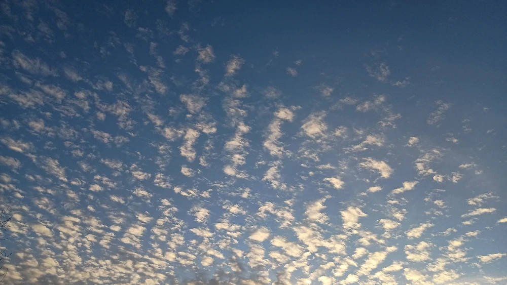 Image uploaded by Reo