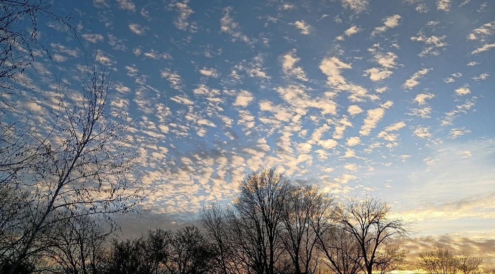 Image uploaded by Reo