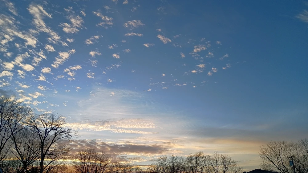 Image uploaded by Reo