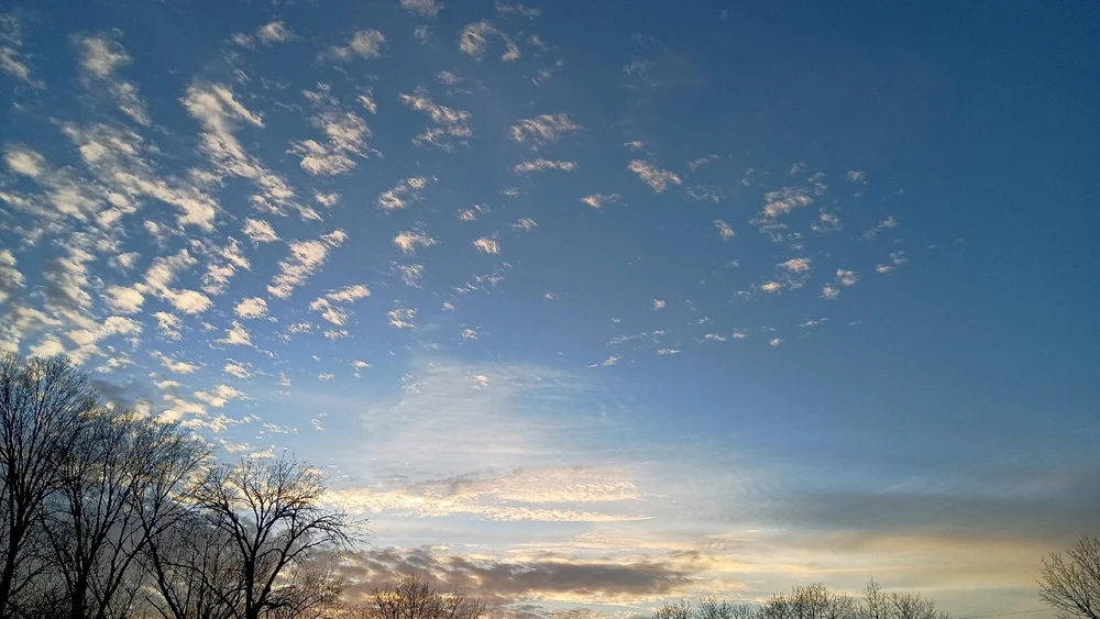 Image uploaded by Reo