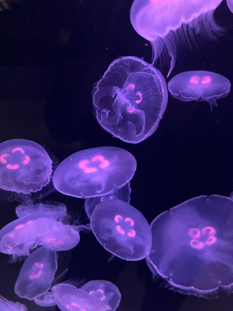 Image uploaded by Kori