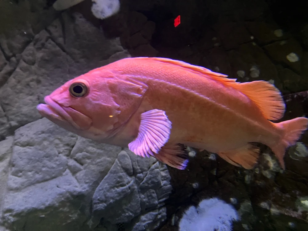 Image uploaded by Kori