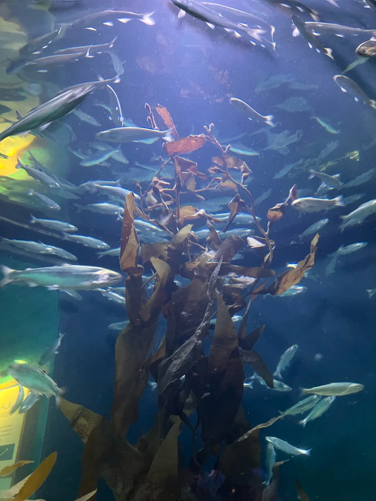 Image uploaded by Kori