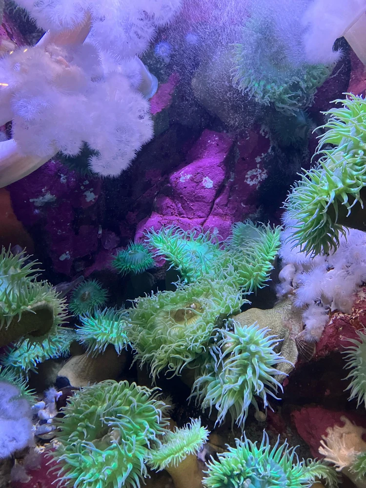 Image uploaded by Kori