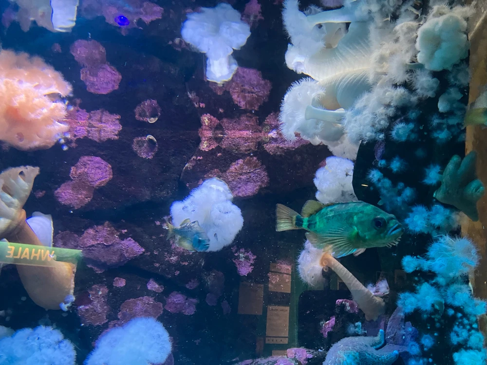 Image uploaded by Kori