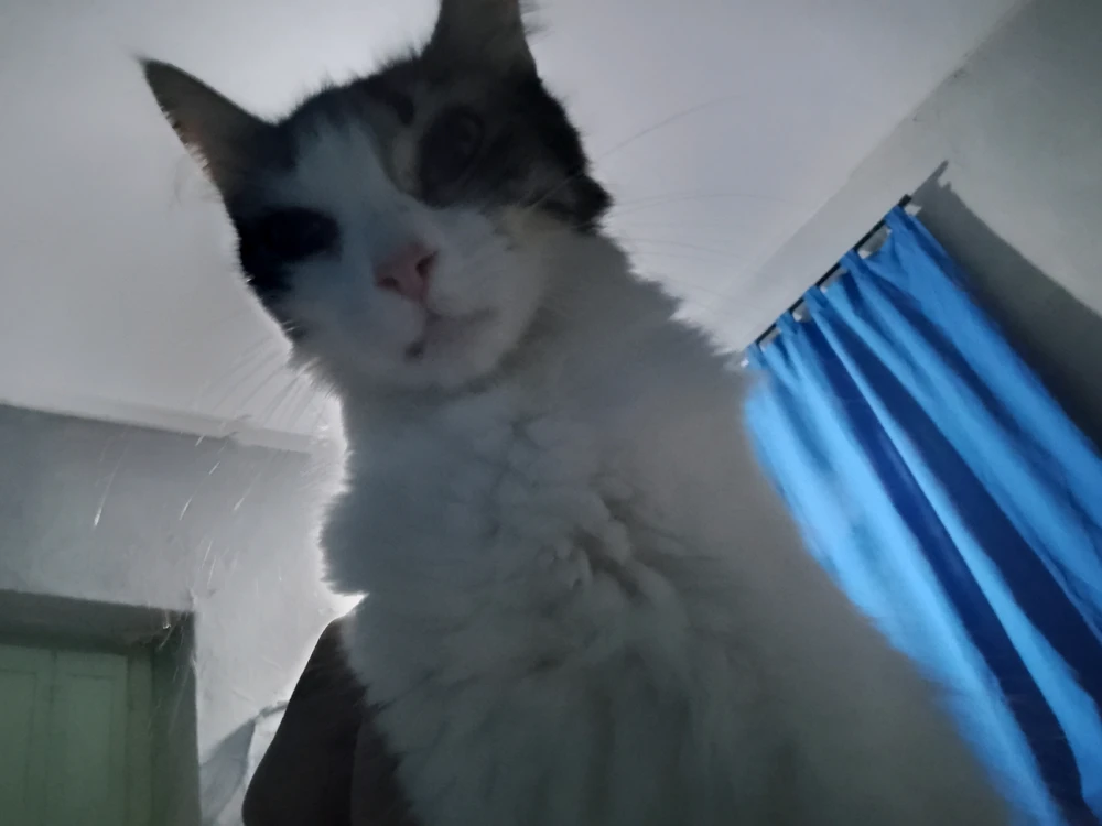 GIF subido por Mauro