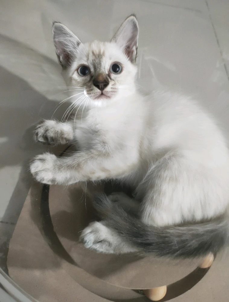 GIF uploaded by Jellyfish