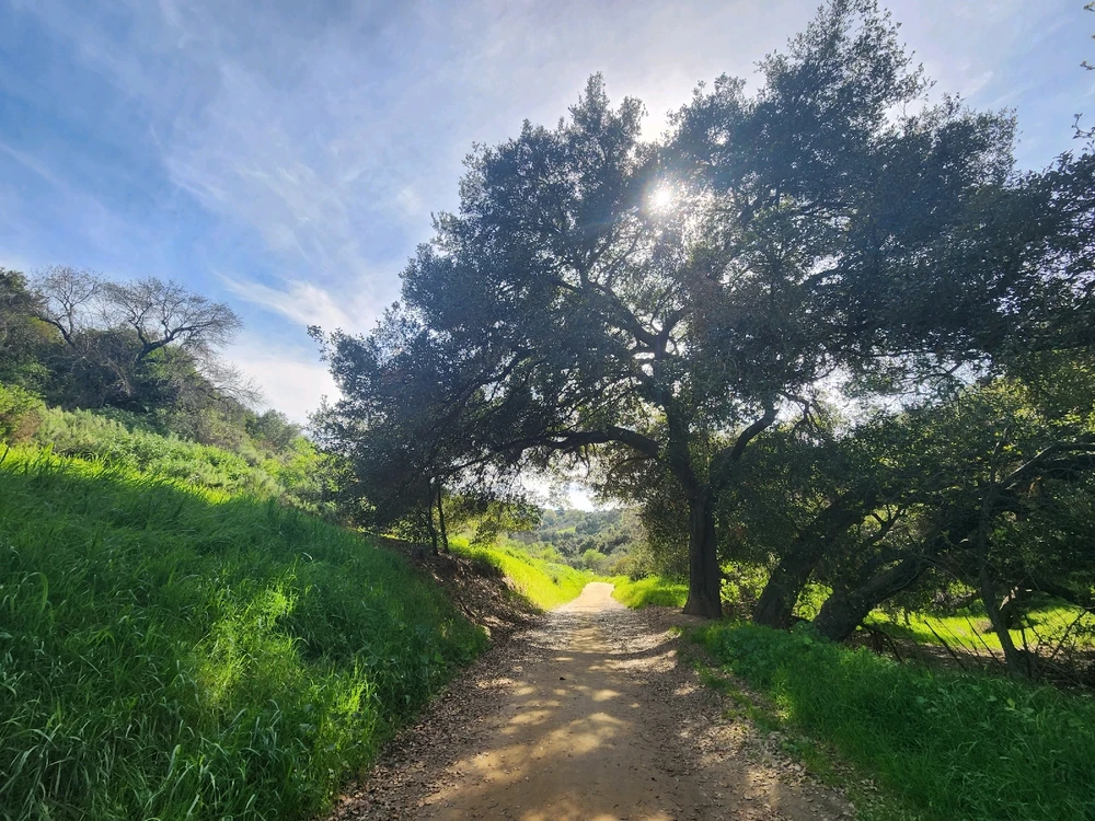 Image uploaded by Elle