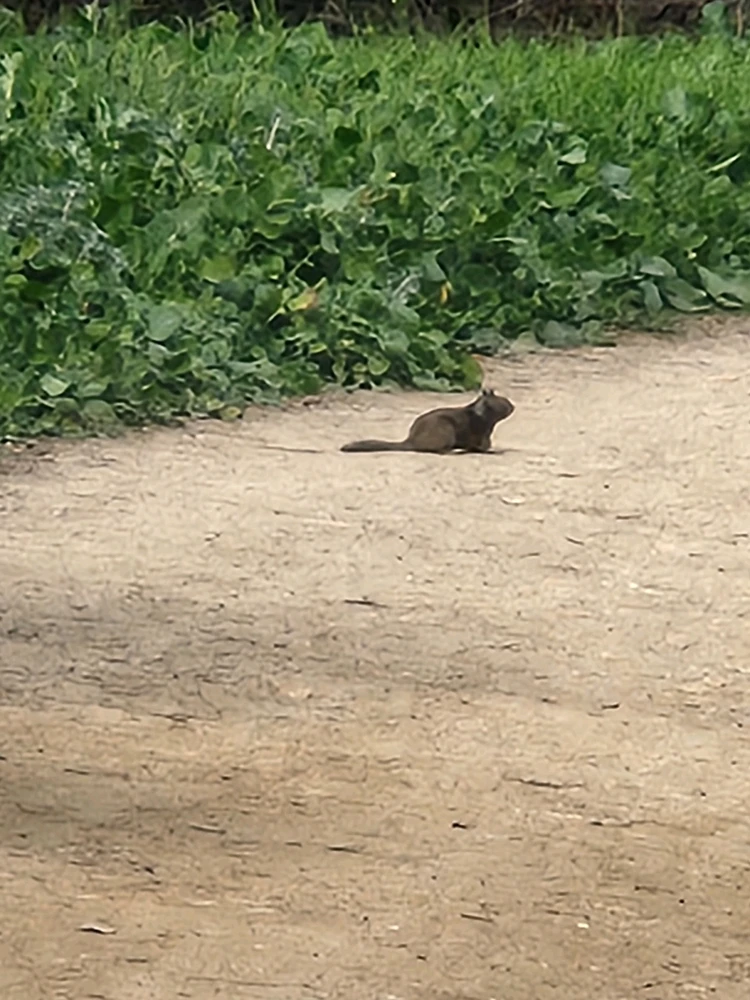 Image uploaded by Elle