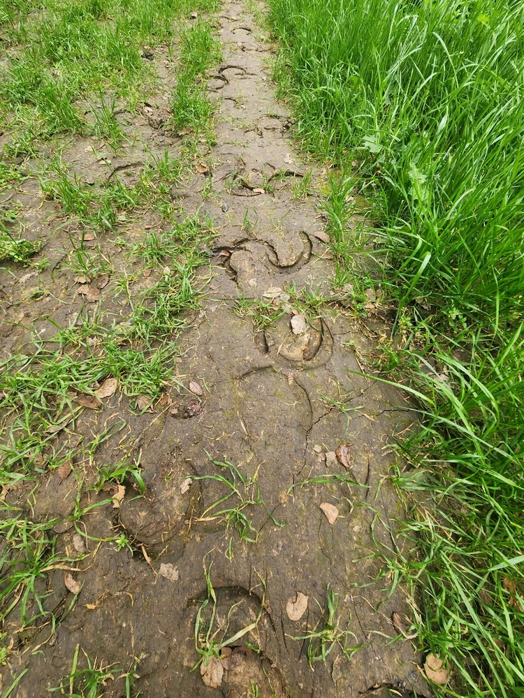 Image uploaded by Elle