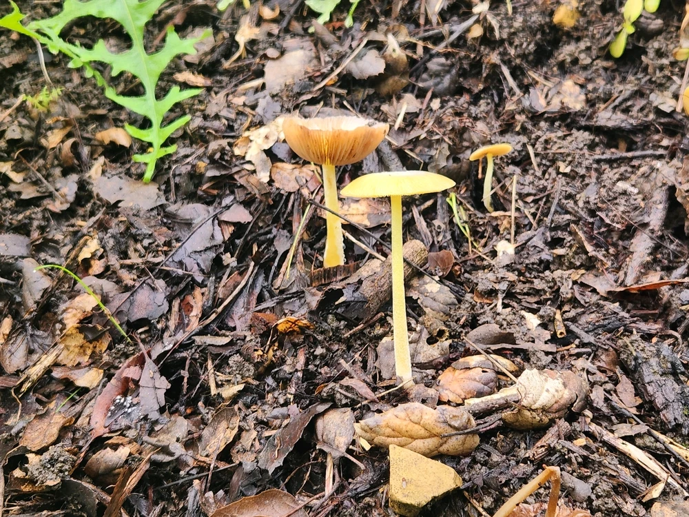 Image uploaded by Elle