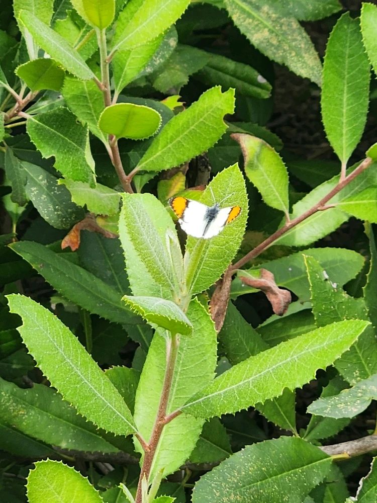 Image uploaded by Elle