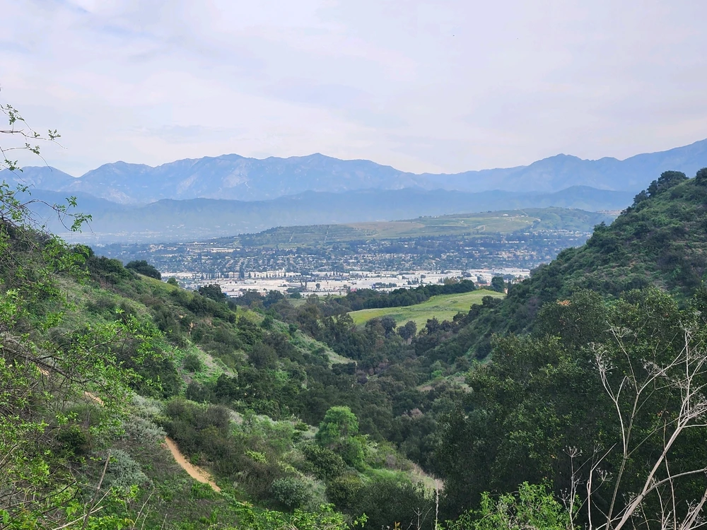 Image uploaded by Elle