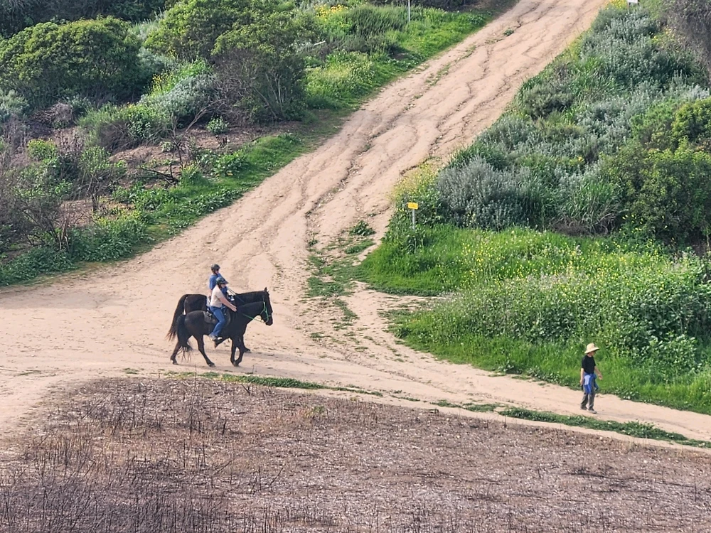 Image uploaded by Elle