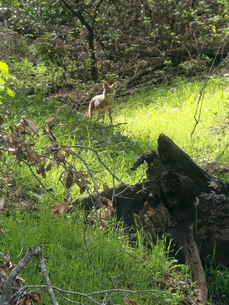 Image uploaded by Elle