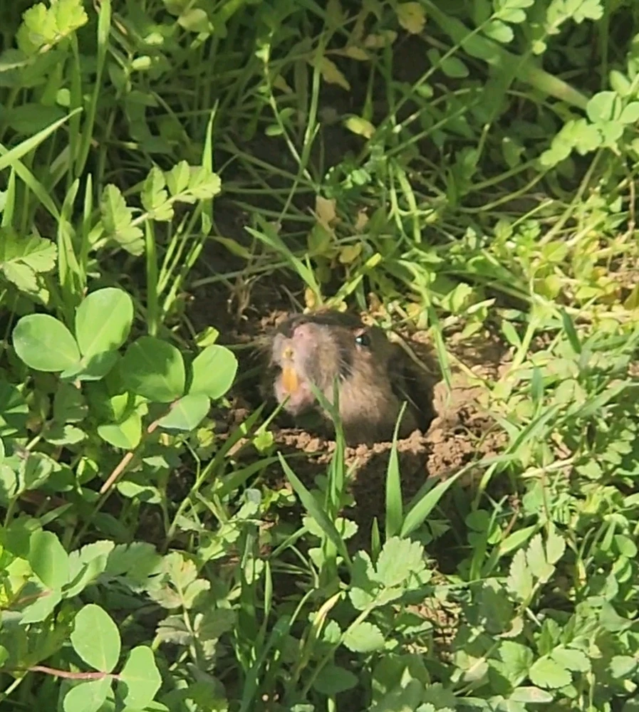 Image uploaded by Elle