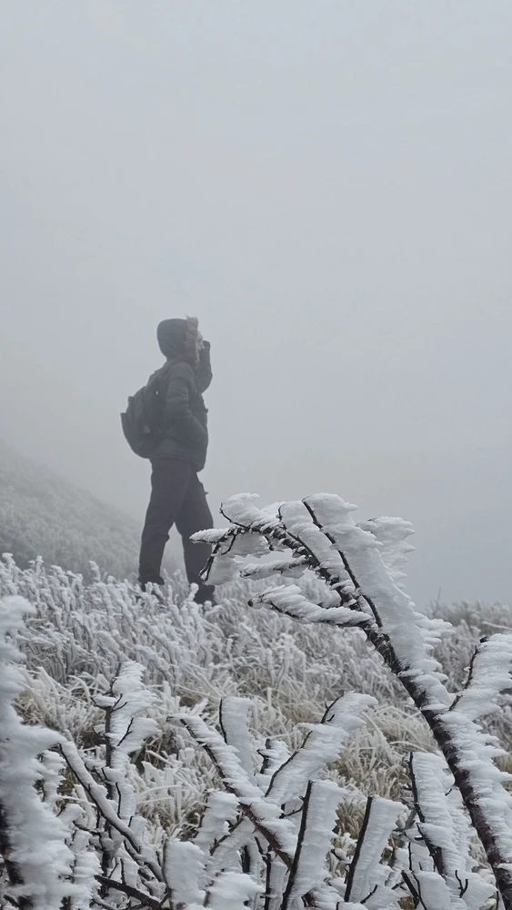 Image uploaded by Hades