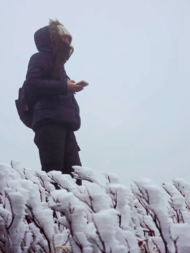 Image uploaded by Hades