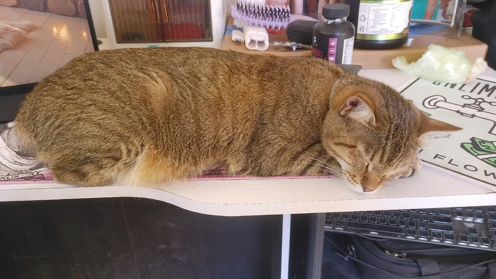 GIF uploaded by โค Sophia aka Mango Mami โค๏ธ