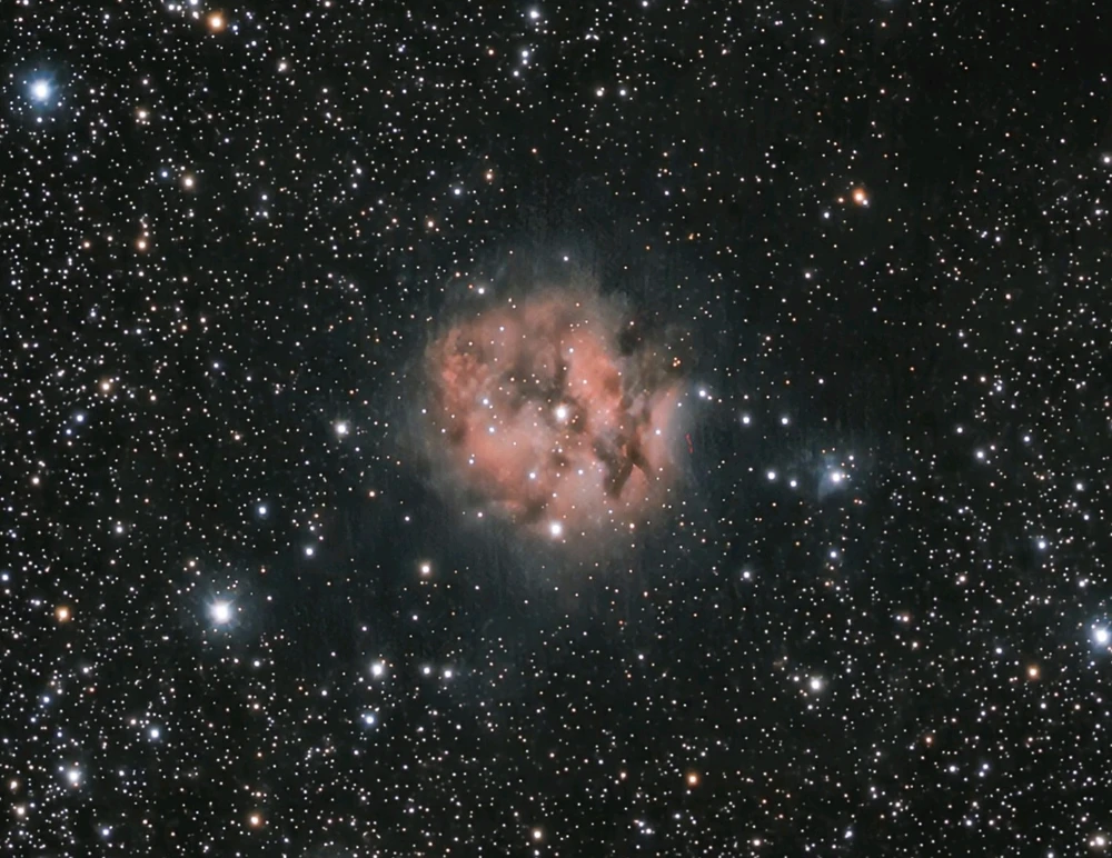 Image uploaded by Mike