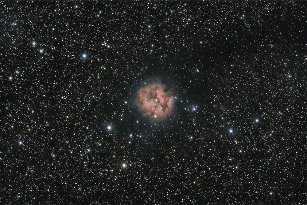 Image uploaded by Mike