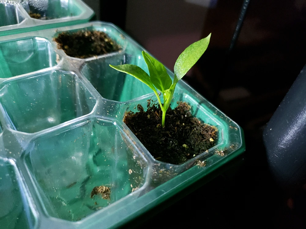 GIF uploaded by Brian