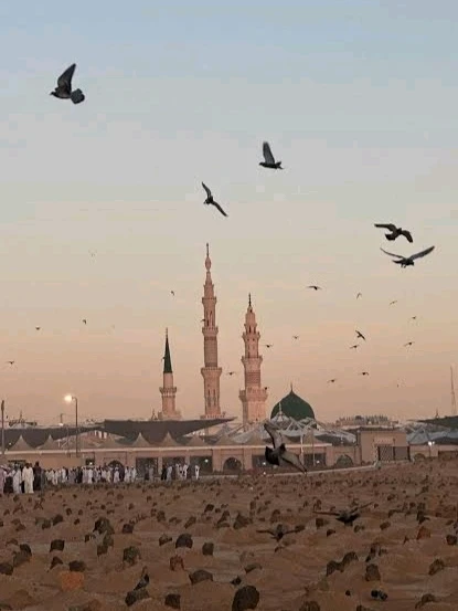 Image uploaded by 𝓢𝓮𝓻𝓮𝓷 • 𝓢𝓮𝓻𝓮𝓷𝓭𝓲𝓹𝓲𝓽𝔂