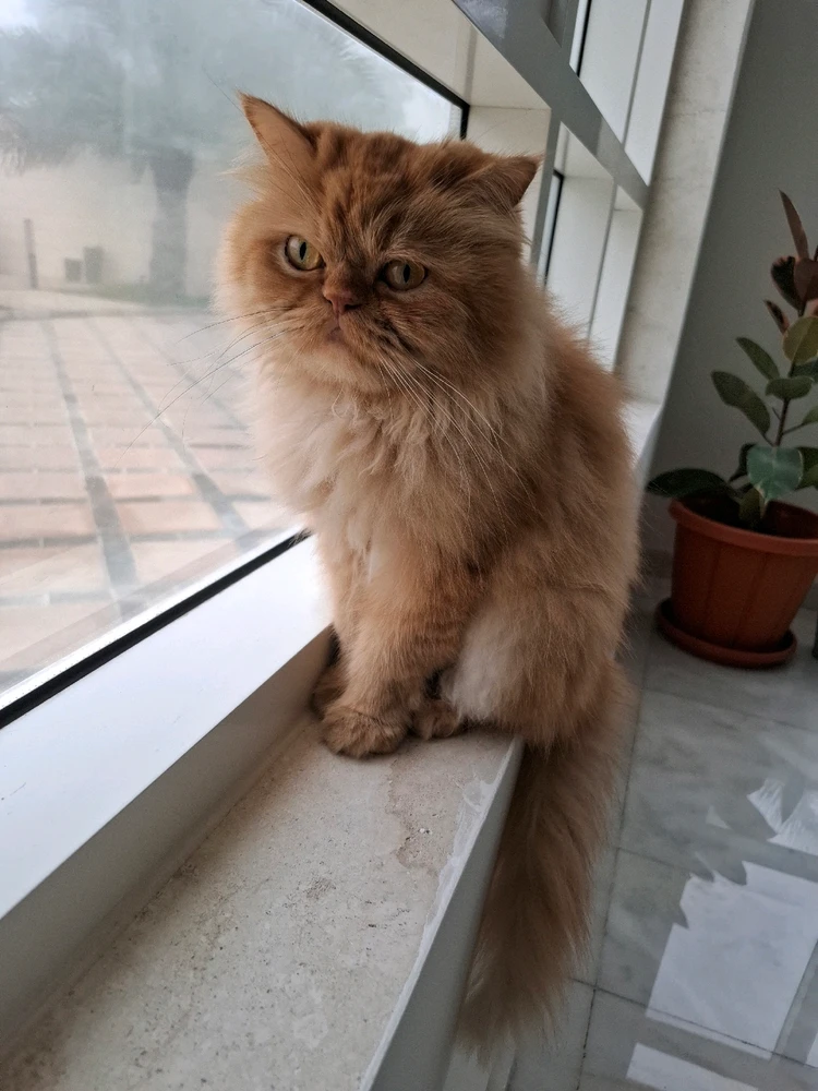 GIF uploaded by Nylej