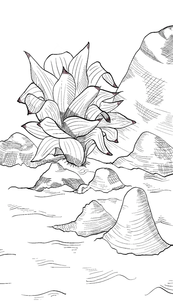 Image uploaded by Anthony