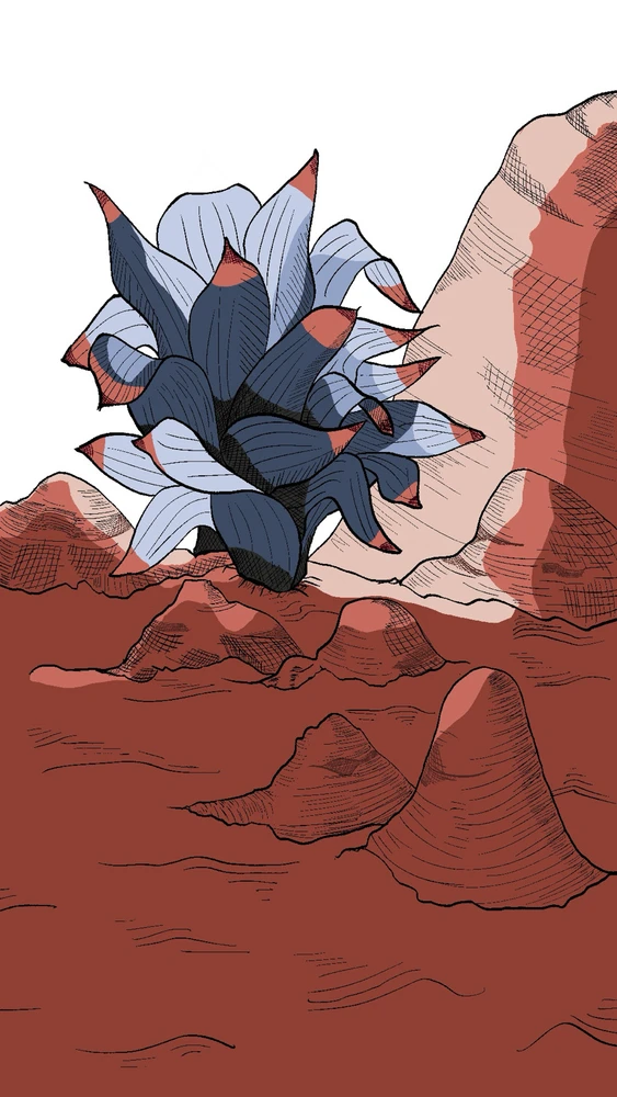 Image uploaded by Anthony