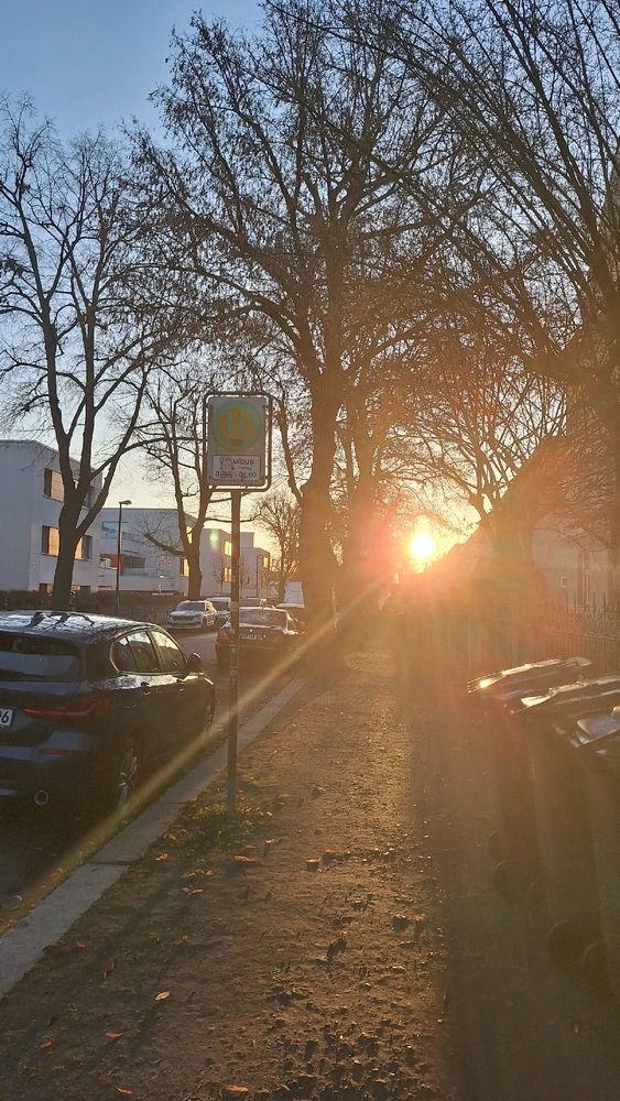 GIF hochgeladen von Steve