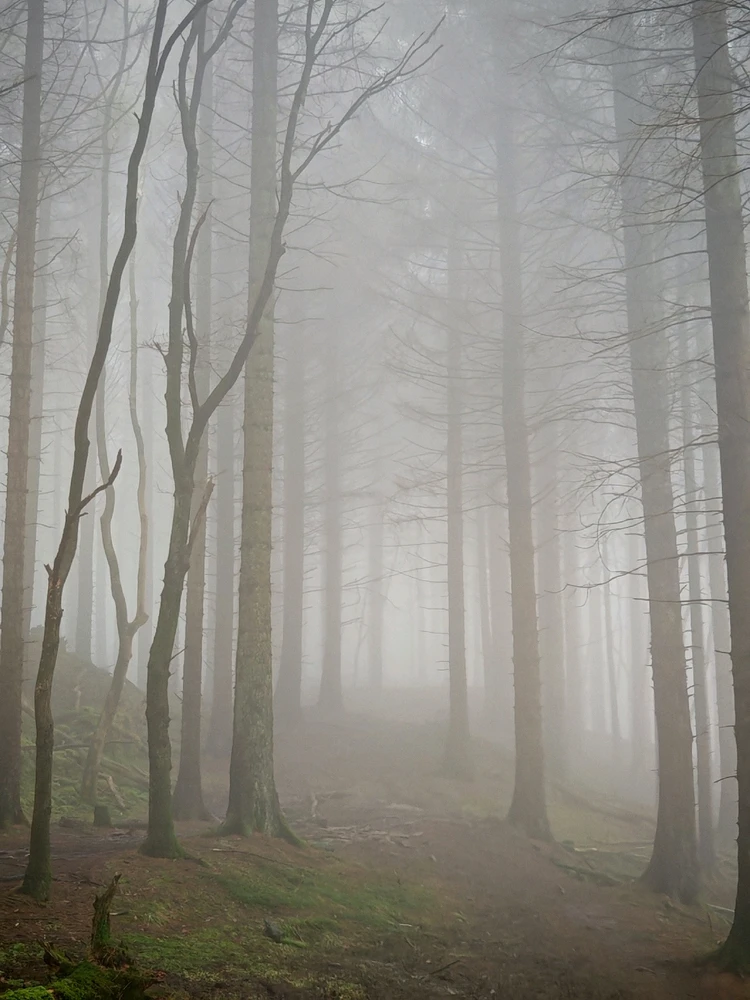 Image uploaded by Denis