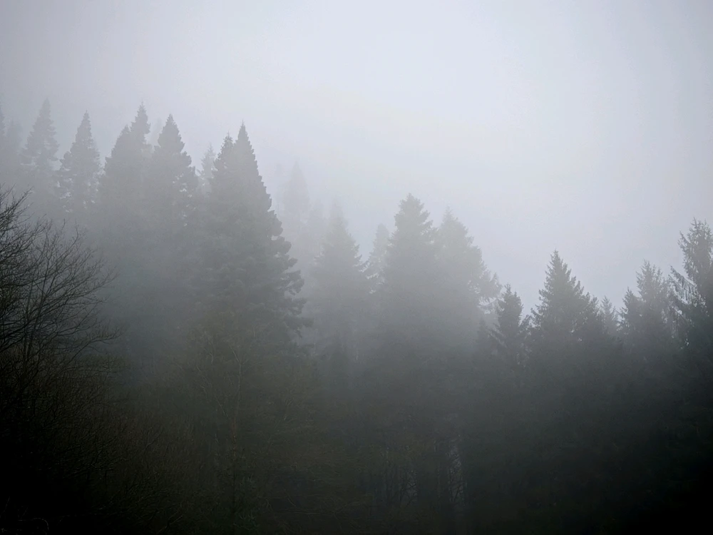 Image uploaded by Denis