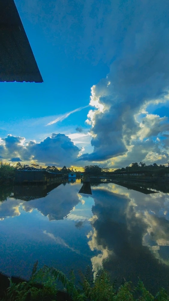 GIF uploaded by Tianz