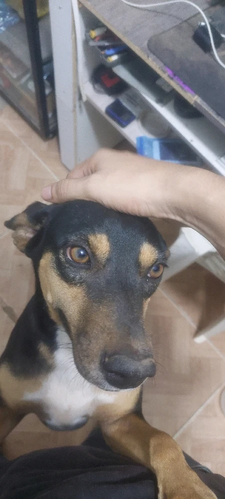 GIF subido por Victor Wong