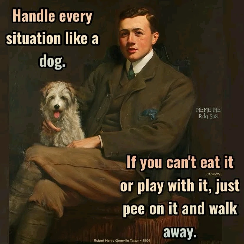 Image uploaded by 𝔖𝔬𝔭𝔥𝔦𝔞