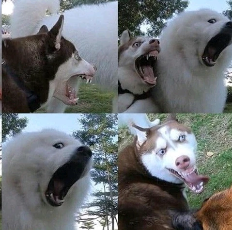 GIF subido por Yesenia