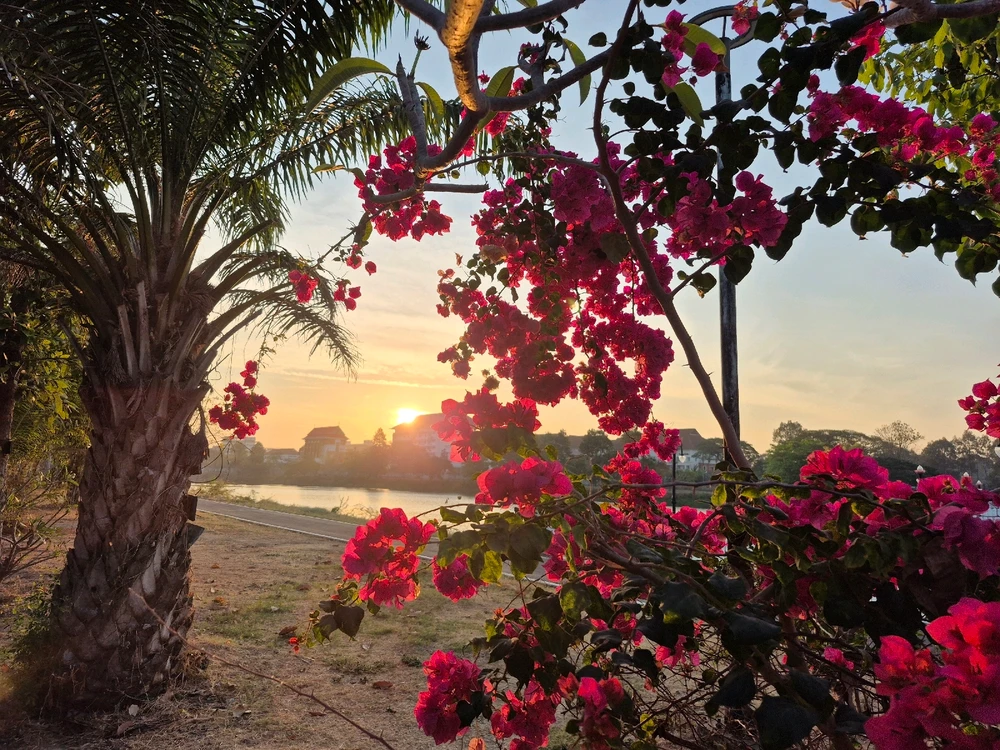 Image uploaded by Jasmine