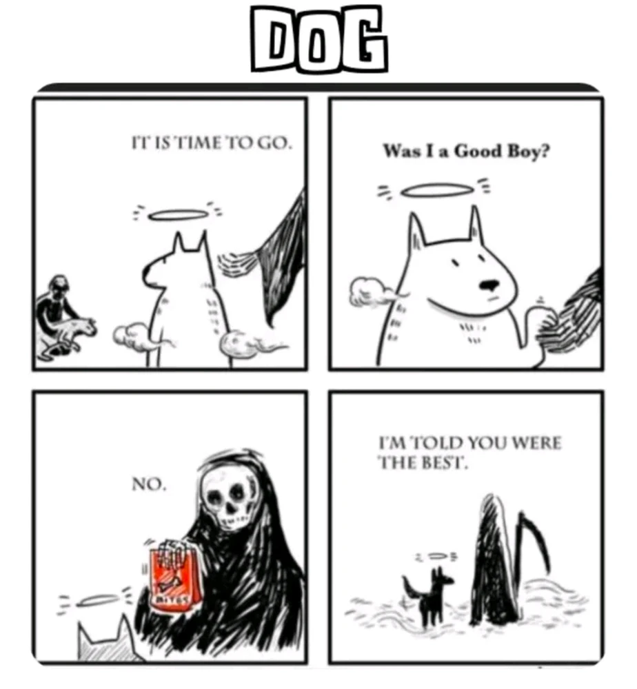 GIF hochgeladen von Stefan