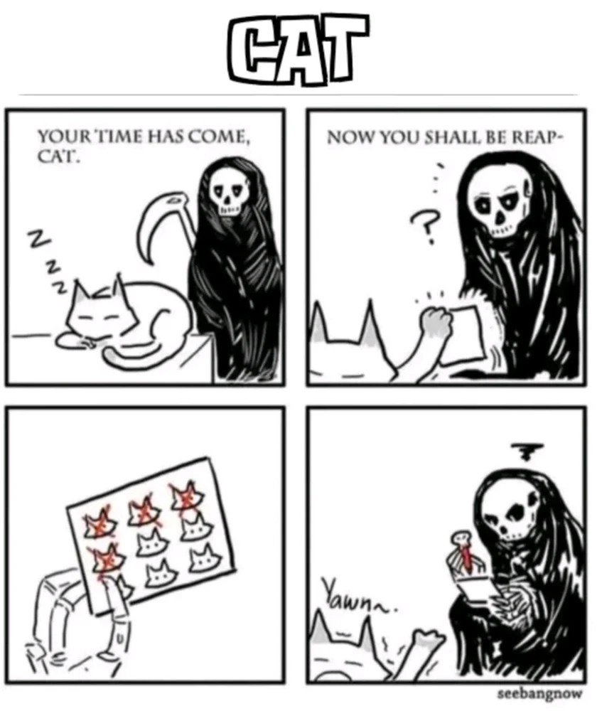 GIF hochgeladen von Stefan