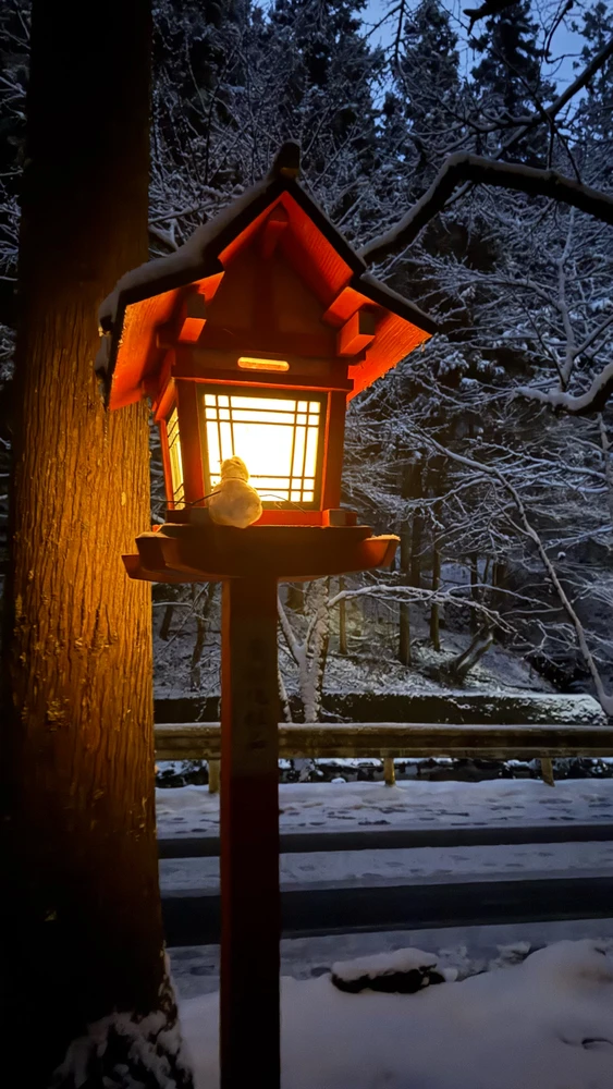 Image uploaded by Mitchell