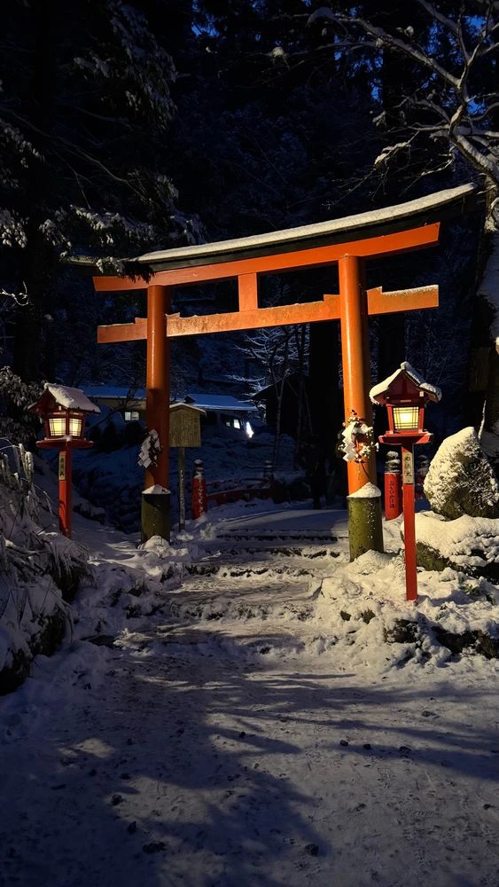 Image uploaded by Mitchell